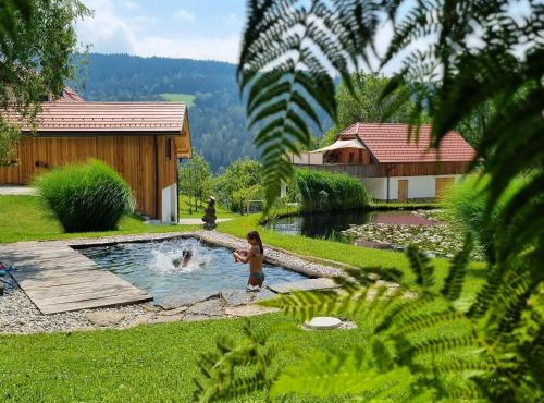 Apartma1 pri Adamu in Mislinja