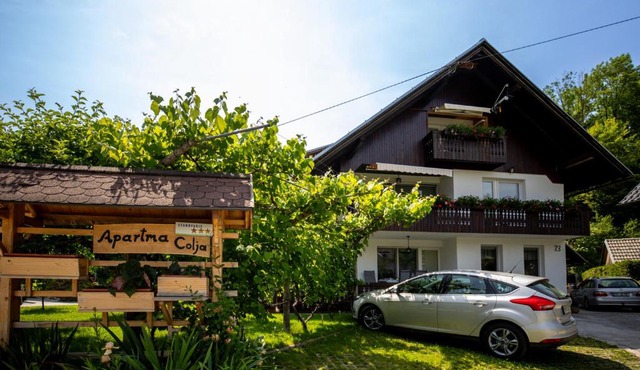 Apartmaji Colja in Bohinj