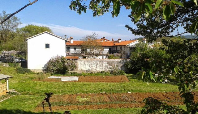 Apartmaji Hedera in Komen