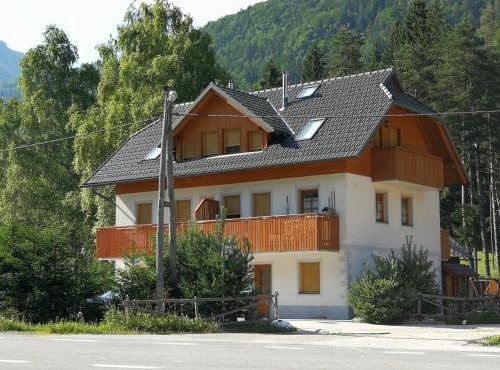 Apartmaji Lajf in Studor