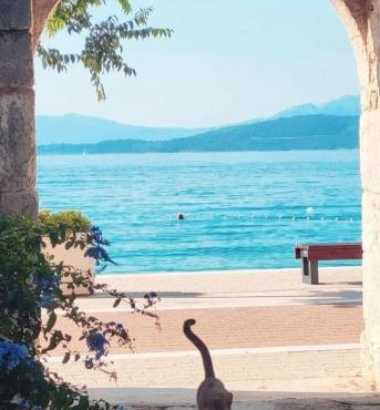 Apartman Andrea