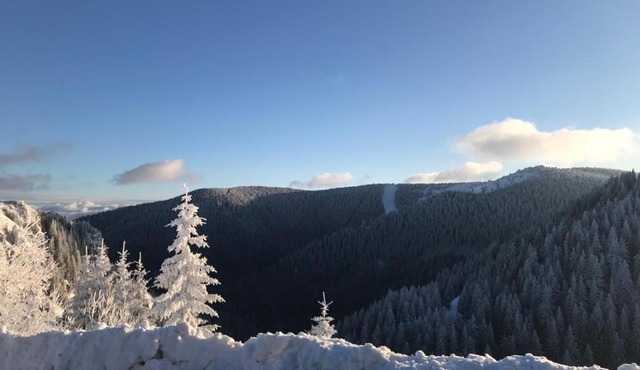 Apartman Goran Suncana Dolina in Kopaonik