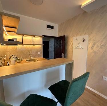 Apartman Igor in Surčin