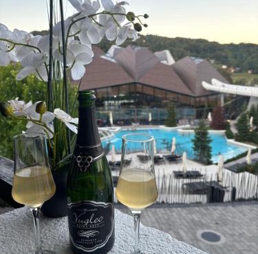 Apartman O Terme Olimia in Ravne na Koroškem