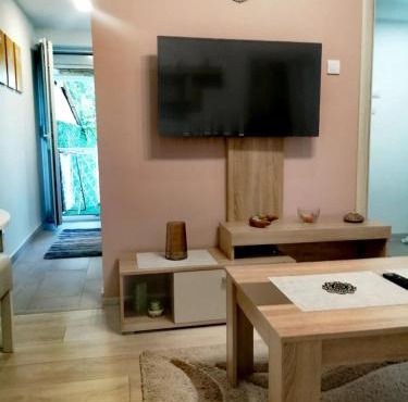 Apartman SIMONA in Bor