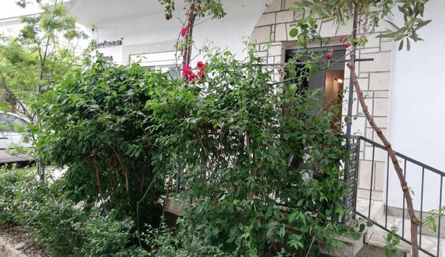 APARTMANI NOVA