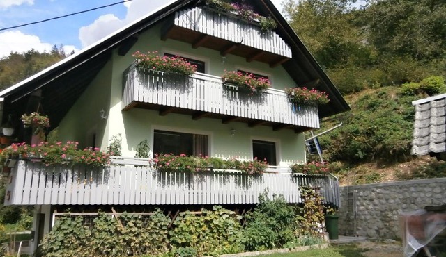 Apartment Žvan in Bohinj