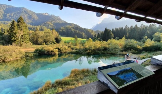 Apartment 4 | Apartments Seventy Seven (2 bedroom, 4+1) in Jesenice
