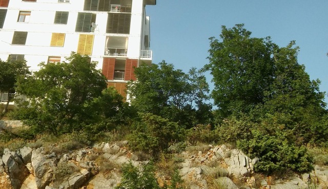 Apartment Anđela (48031-A1) - Senj in Senj