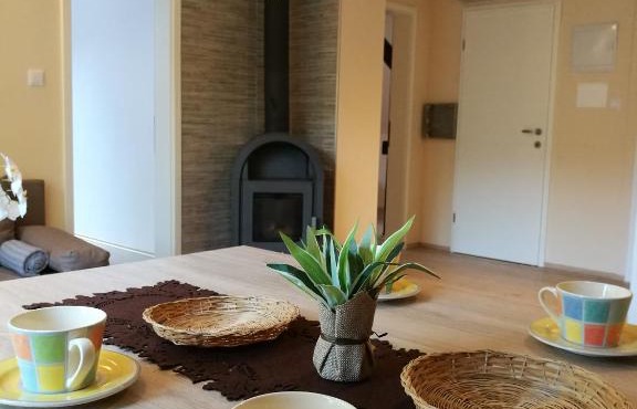 Apartment Belaj in Celje