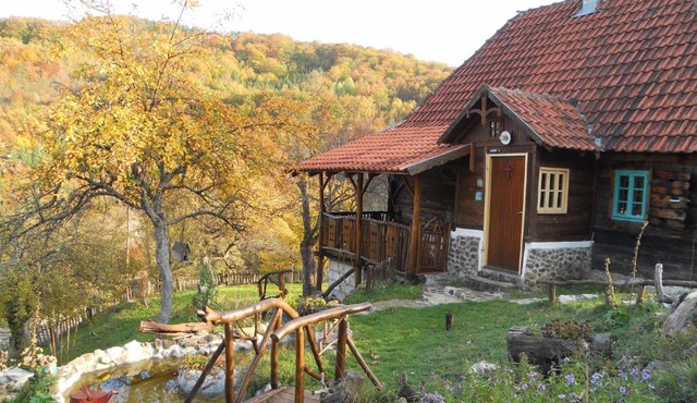 Apartment Cerova Kosa in Mokra Gora