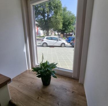 Apartment HANI in Podkoren