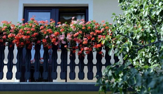 Apartment House Koprivnik - Apartment 2 in Zrece