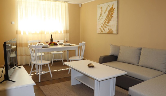 Apartment in the center of Cluj in Cluj-Napoca
