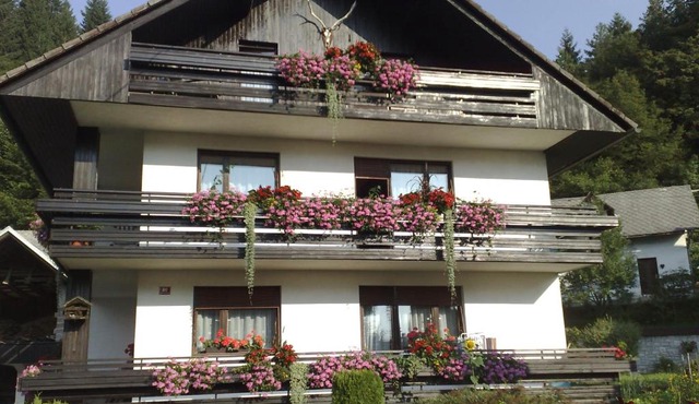 Apartment KLEMEN in Bohinjska Bela