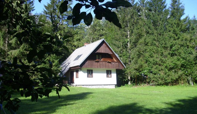 Apartment Lake Bohinj no. 5 in Bohinj