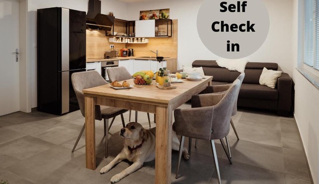 Apartment Shanell Lounge in Moravske Toplice