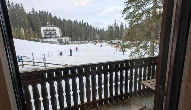 Apartment Ski Sara Pokljuka in Bohinj