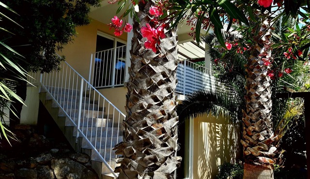 Apartment with two bedrooms and terrace in Island Vis