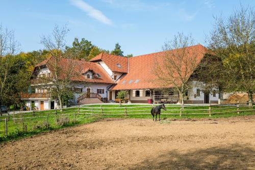 APARTMENT ZYNGA - STUD FARM in Šentvid pri Stični