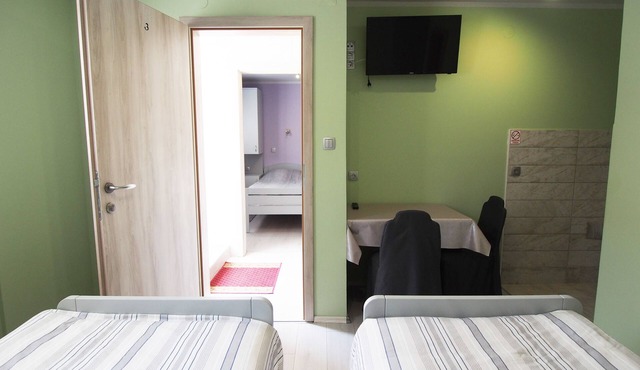 Apartments and Rooms Pavek