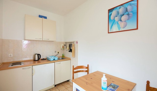 Apartments Jany (116061-A3) - Saplunara