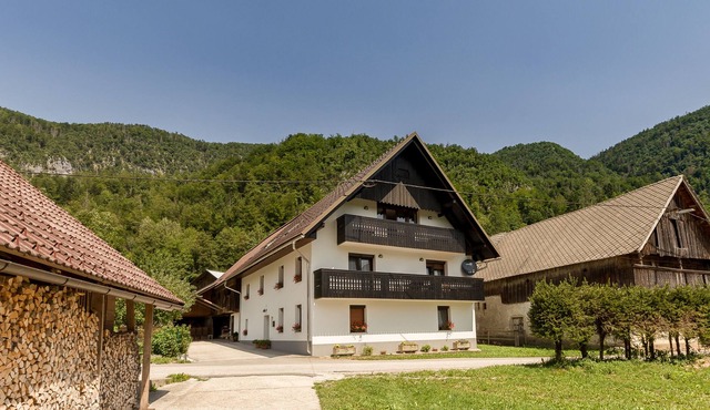 Apartments Rupnik (Bohinj)-A3 in Bohinj