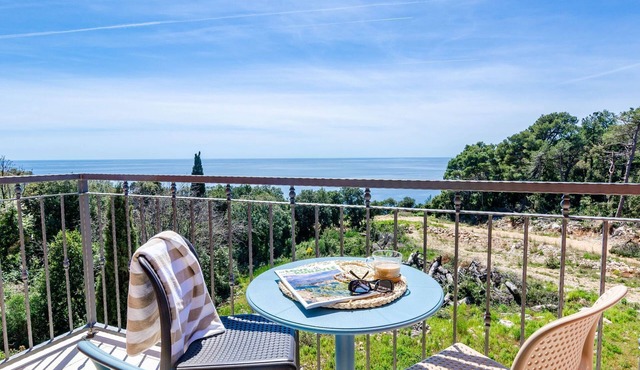 Apartments Villa Lukas - 'No.9' Gallery Two Bedroom Apartment with Balcony and Sea View