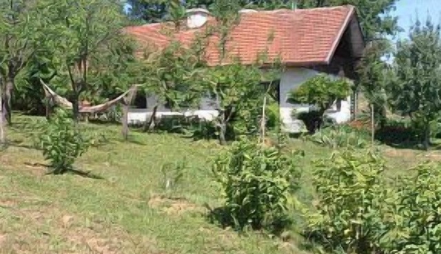 Apple Tree Cottage (6+2) located in a private garden with an orchard in Krka