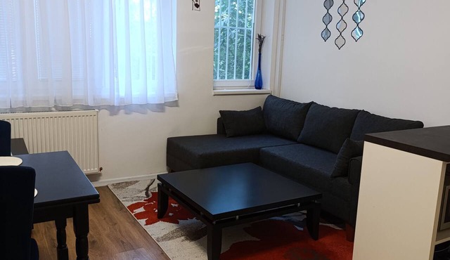 AR20 Sarajevo Center 1-bedroom apartment 2+1 with free private parking in Sarajevo