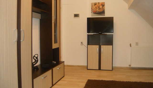 Attic Apartment - 2 Separate Bedrooms in Sibiu