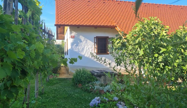 Balajceva domačija - Moravske Toplice in Moravske Toplice