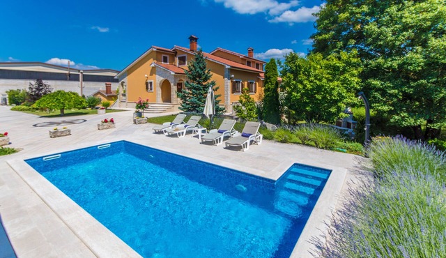 Beautiful new villa, lush fenced-in garden, private pool in Pazin