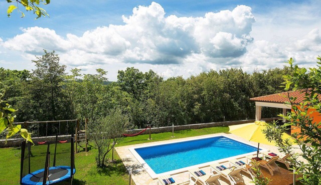 Beautiful private villa for 8 people with A/C, private pool, WIFI, TV, terrace and pets allowed in Pazin