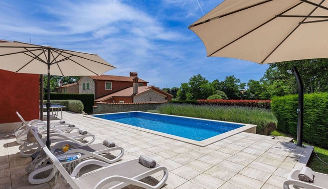 Beautiful private villa for 10 guests with WIFI, A/C, private pool, TV, terrace and pets allowed in Pazin