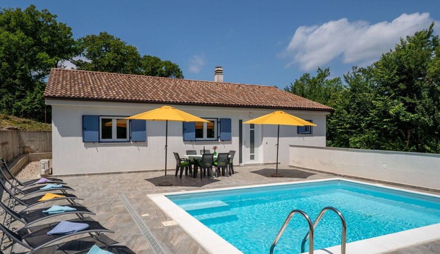 Beautiful private villa with A/C, private pool, WIFI, TV, terrace, pets allowed and panoramic view in Rijeka