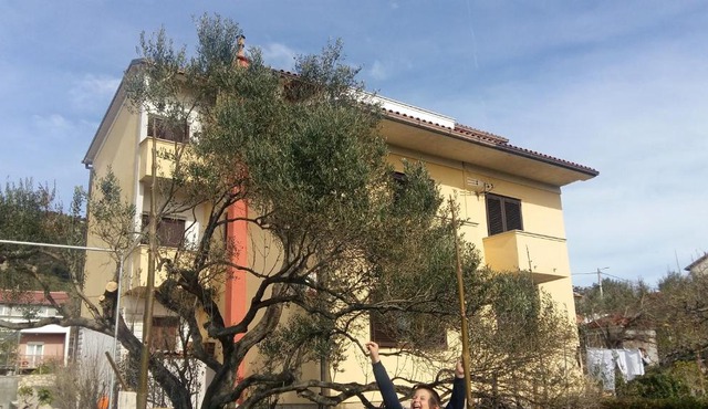 Begovi Dvori