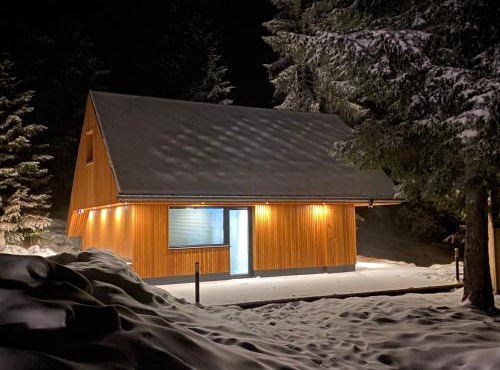 Brunarica Chalet Rogla Sauna in Vitanje
