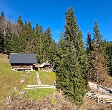Brunarica na Goreljeku, Pokljuka in Bohinj