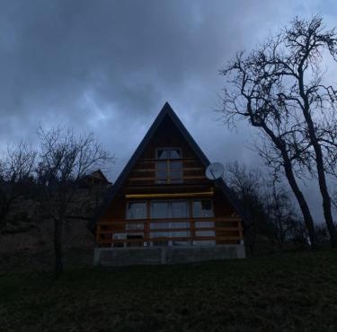 Brvnara Iva in Bajina Basta