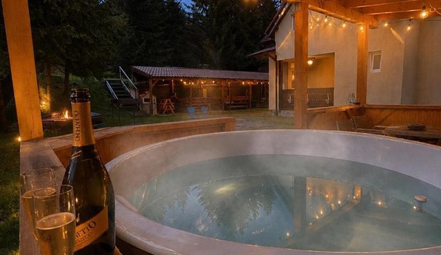 Cabana Alina in Rasinari
