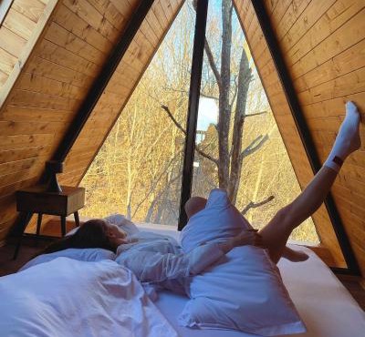 Cabana Bradova Jacuzzi & Heated Pool A-Frame in Bîrsana