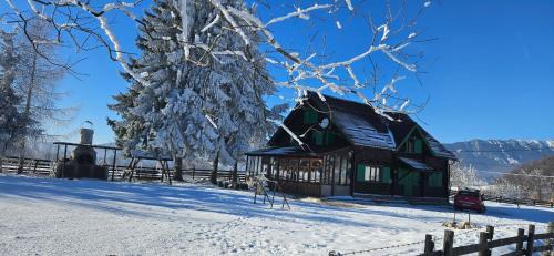 Cabana ciocanu in Şirnea