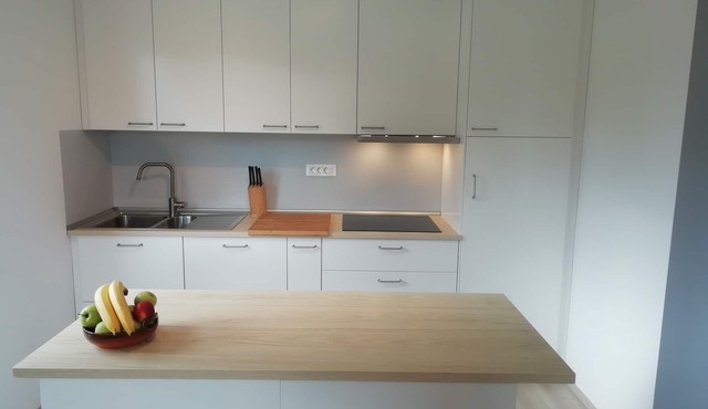 CARNIOLAN HOUSE - free parking, wi-fi, patio, garden. in Radovljica