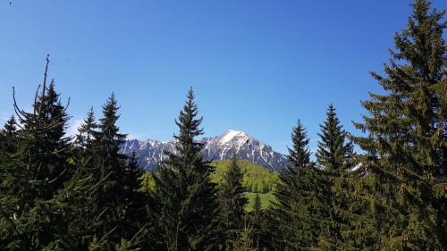 Casa BonDia in Paraul Rece