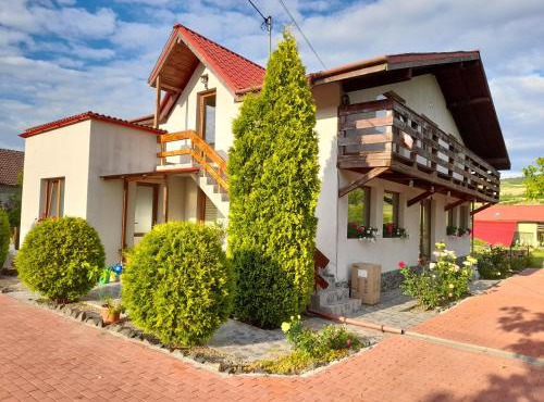 Casa cu flori in Varmaga