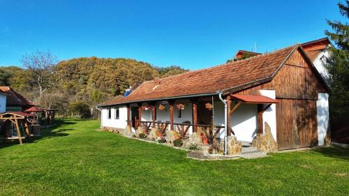 Casa de Peste Apă in Peşteana