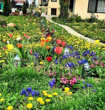 Casa Florilor in Curtea de Argeş