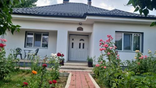 Casa Jeni in Humuleşti