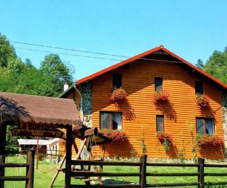 Casa La Bursucu in Techereu